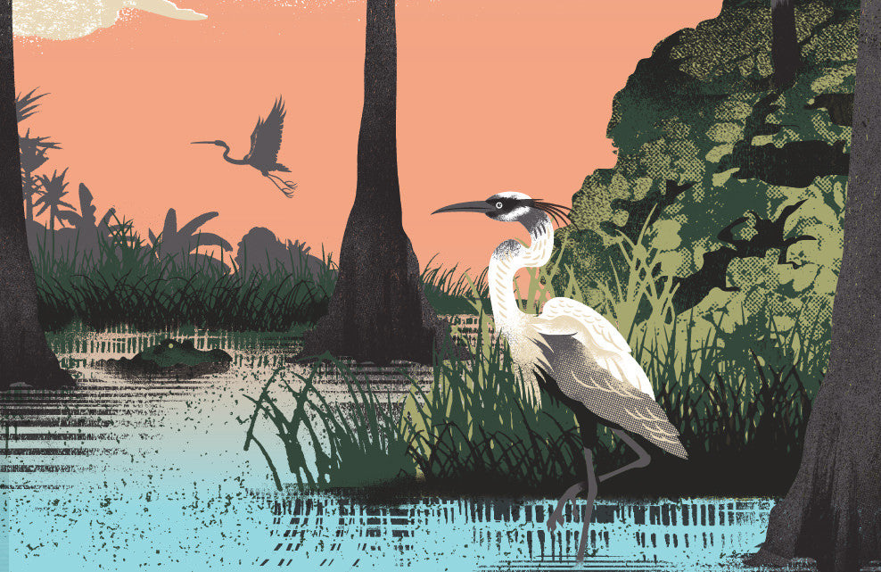 Everglades National Park Poster