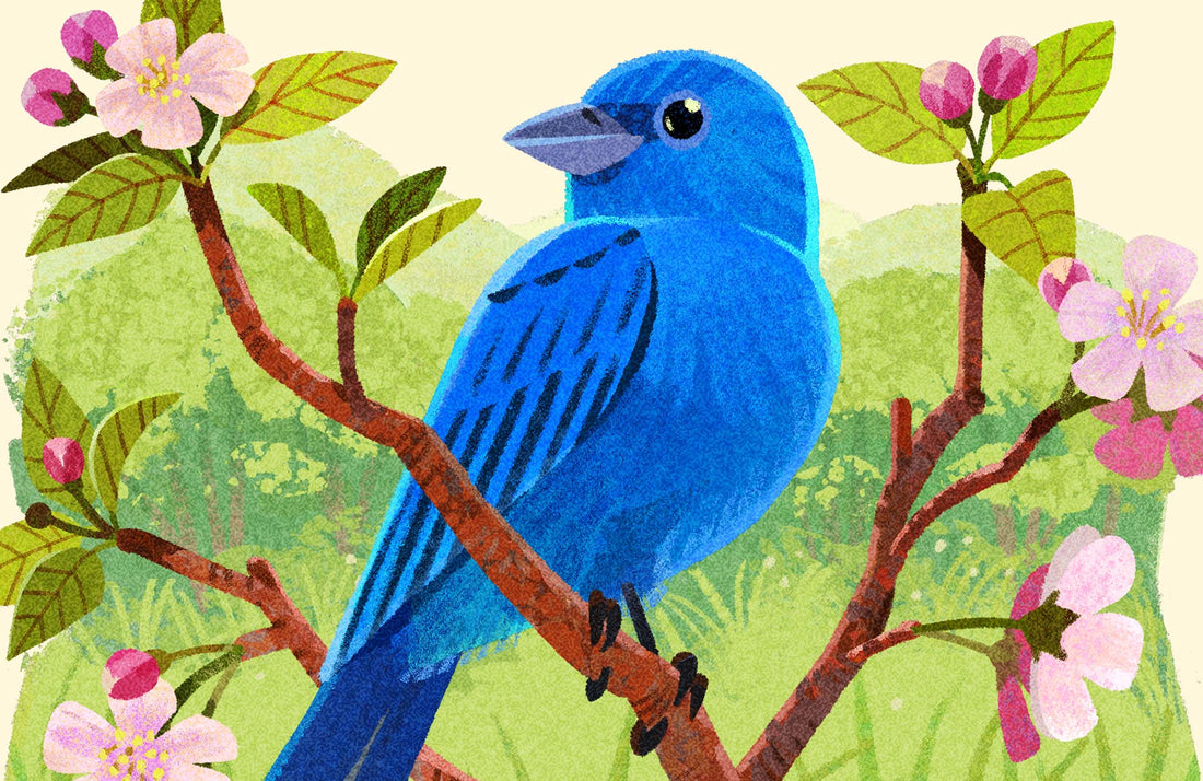 Indigo Bunting National Park Alphabet Print