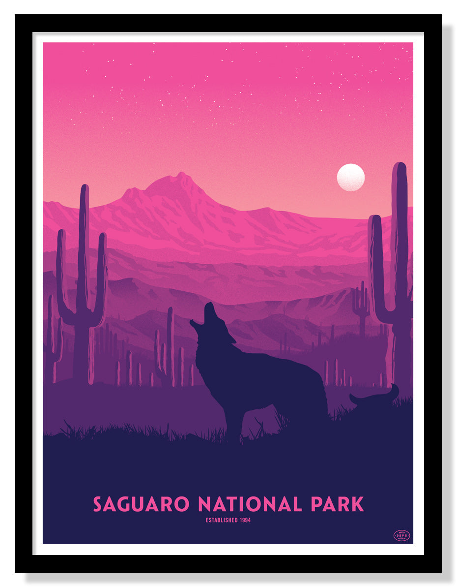 Saguaro National Park Poster